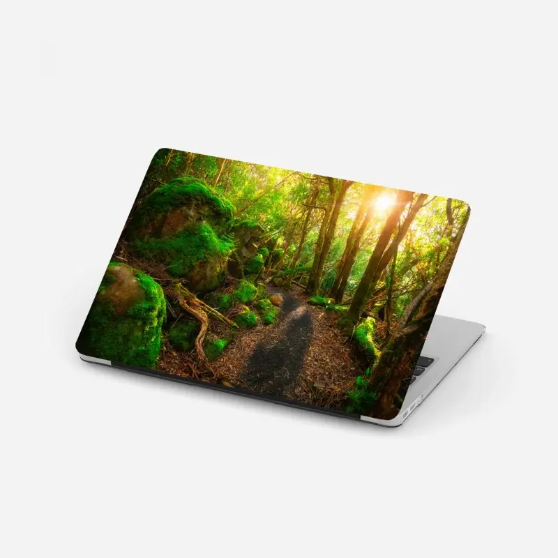 Laptop-Aufkleber sonniger pfad im regenwald der Tasman-Halbinsel, Tasmanien