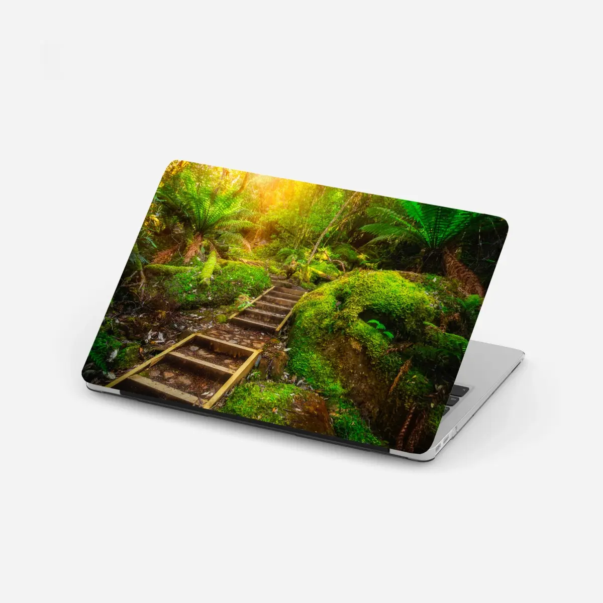 Laptop-Aufkleber moosiger regenwaldpfad auf der Tasman-Halbinsel – Pixers®