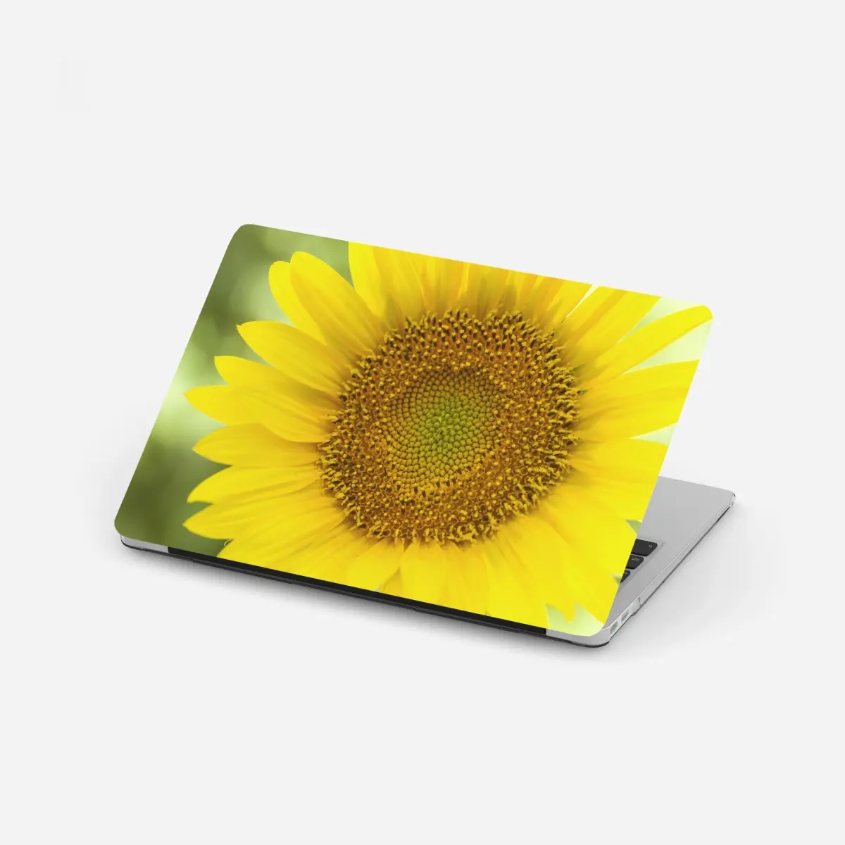 Laptop-Aufkleber leuchtende nahaufnahme sonnenblume – Pixers®