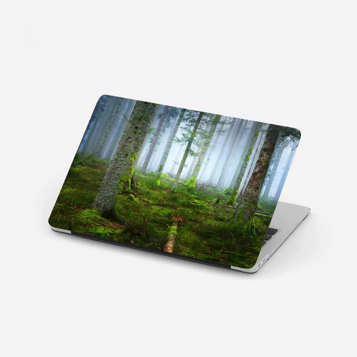 Laptop-Aufkleber nebliger kiefernwald aus dem Elsass – Pixers®