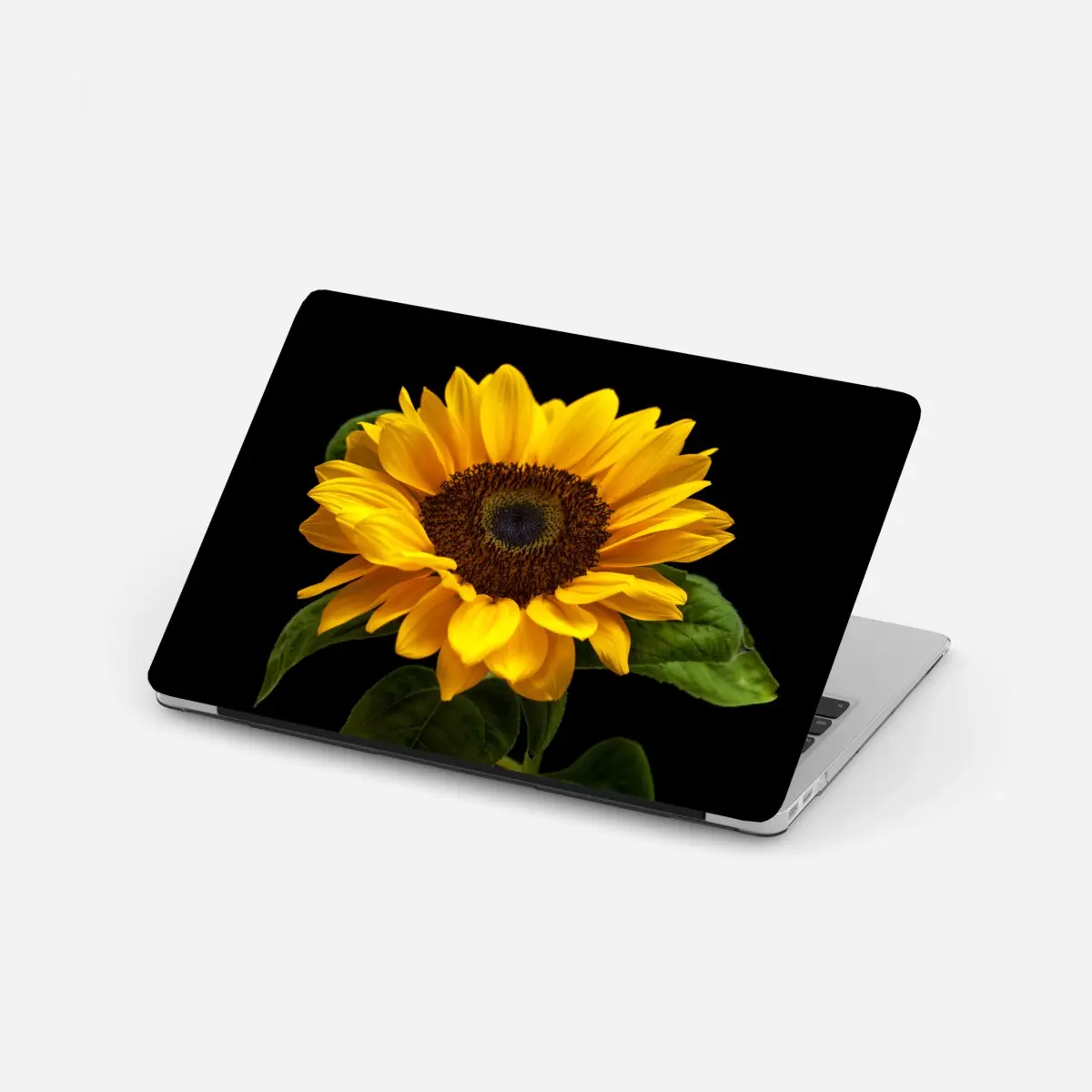 Laptop-Aufkleber leuchtende sonnenblume auf schwarzem hintergrund – Pixers®
