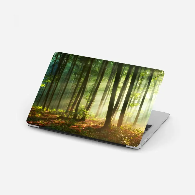Laptop-Aufkleber sonnenbeschienener morgenwald