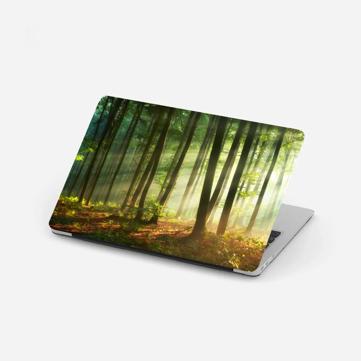 Laptop-Aufkleber sonnenbeschienener morgenwald – Pixers®
