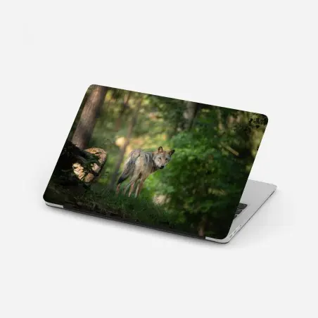 Laptop-Aufkleber wolf auf der lichtung im wald – Pixers®