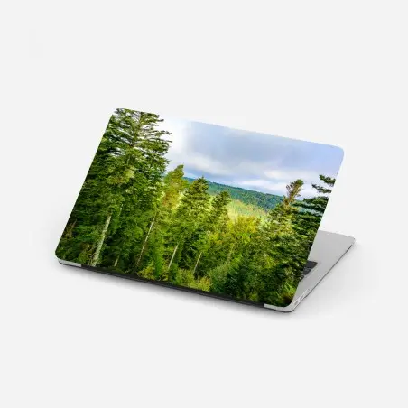 Laptop-Aufkleber Schwarzwald herbstliche waldlandschaft – Pixers®