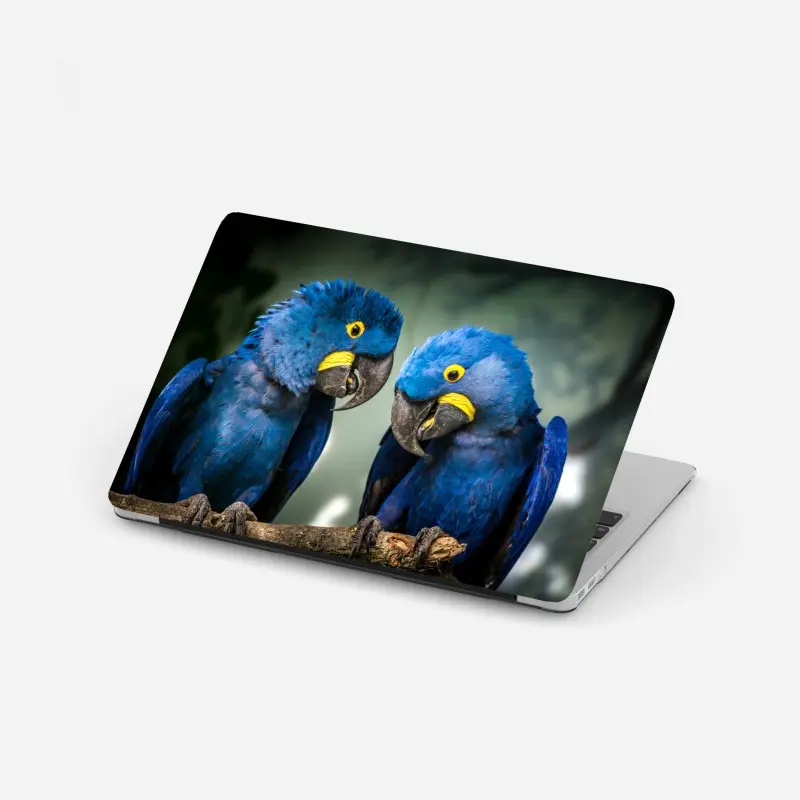 Laptop-Aufkleber paar blauer aras - nahaufnahme