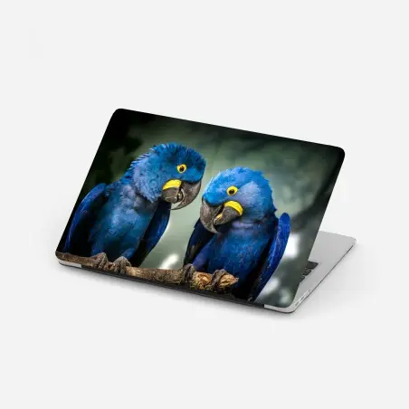 Laptop-Aufkleber paar blauer aras - nahaufnahme – Pixers®