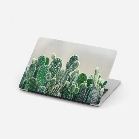 Laptop-Aufkleber nahaufnahme eines opuntienkaktus – Pixers®