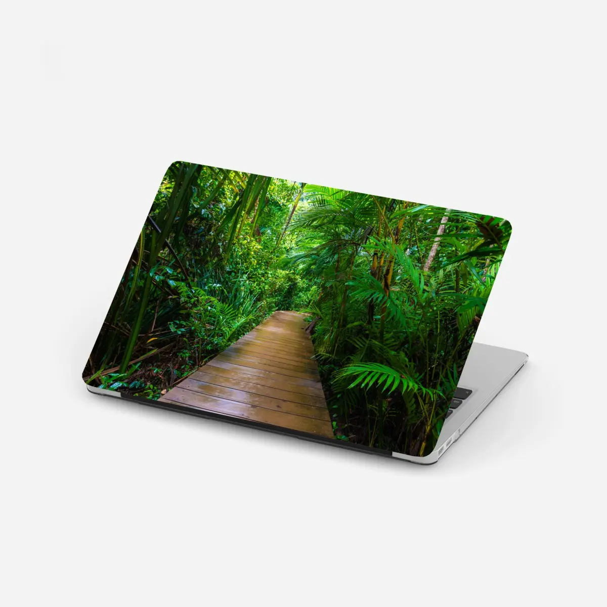 Laptop-Aufkleber mangrovensteg durch üppigen grünen dschungel – Pixers®