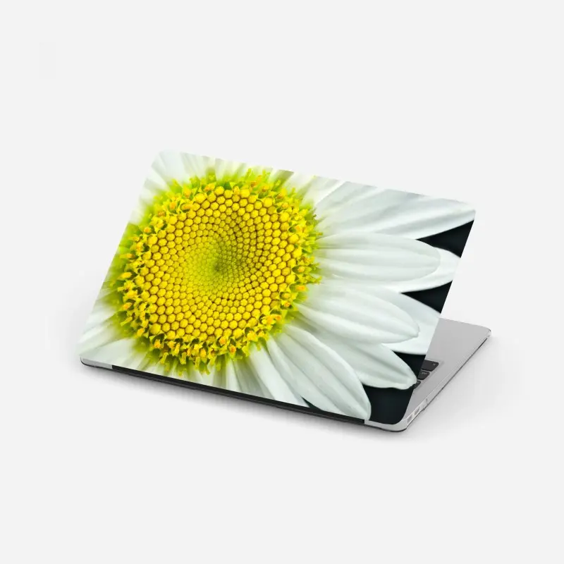 Laptop-Aufkleber makro gänseblümchen spiralmuster