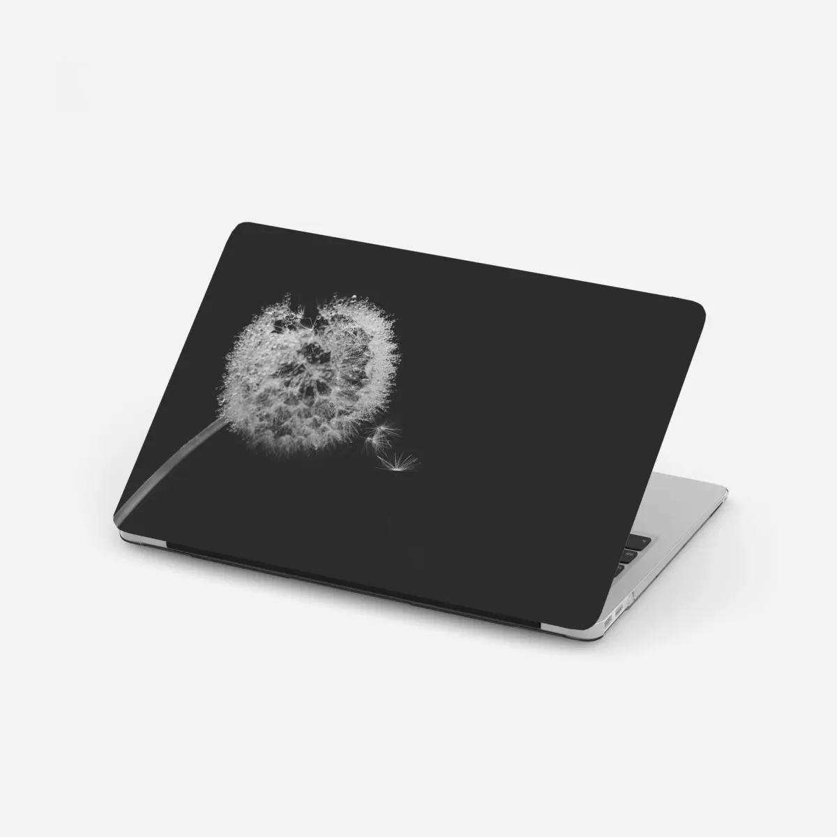 Laptop-Aufkleber zarter löwenzahn in monochrom – Pixers®