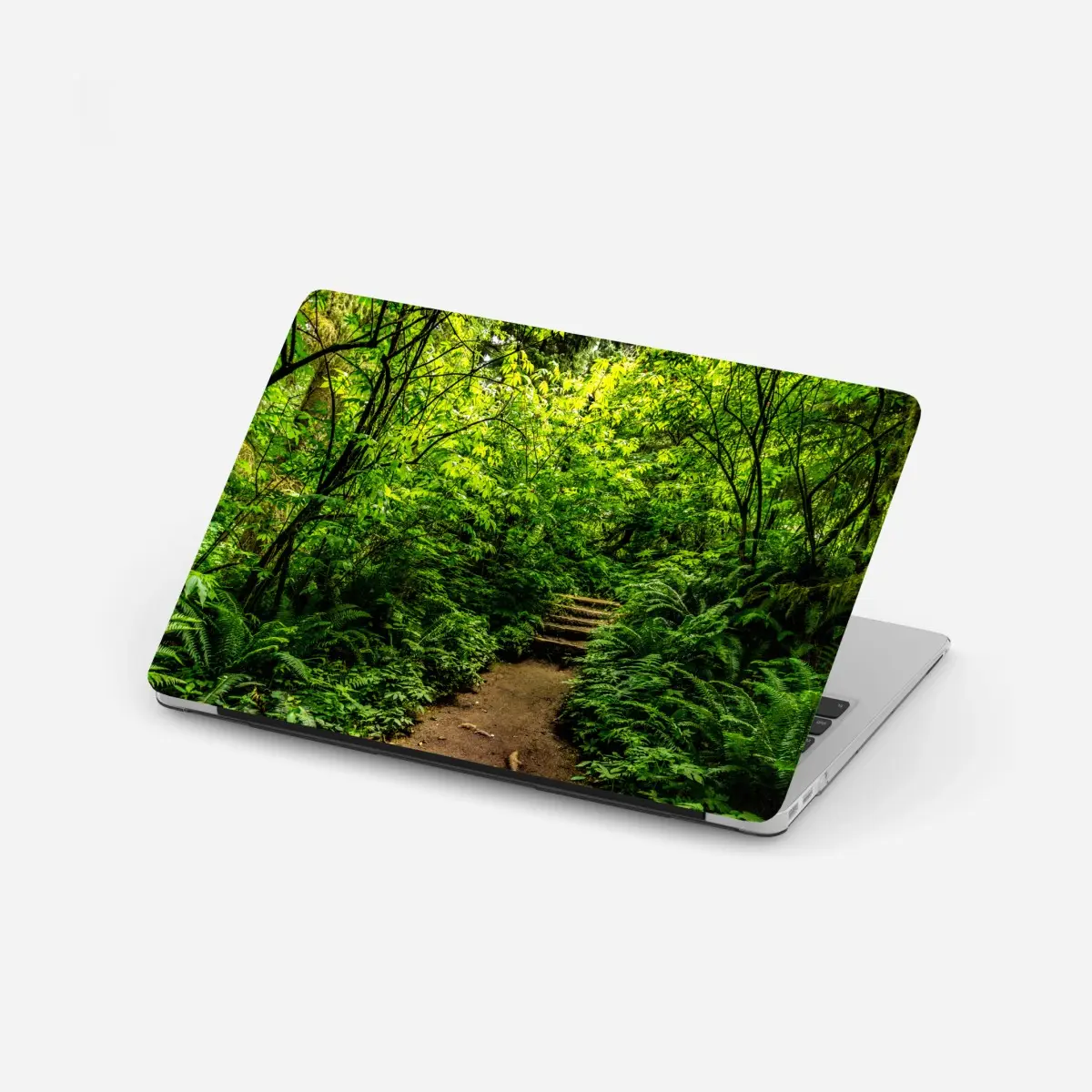 Laptop-Aufkleber üppiger waldpfad – Pixers®