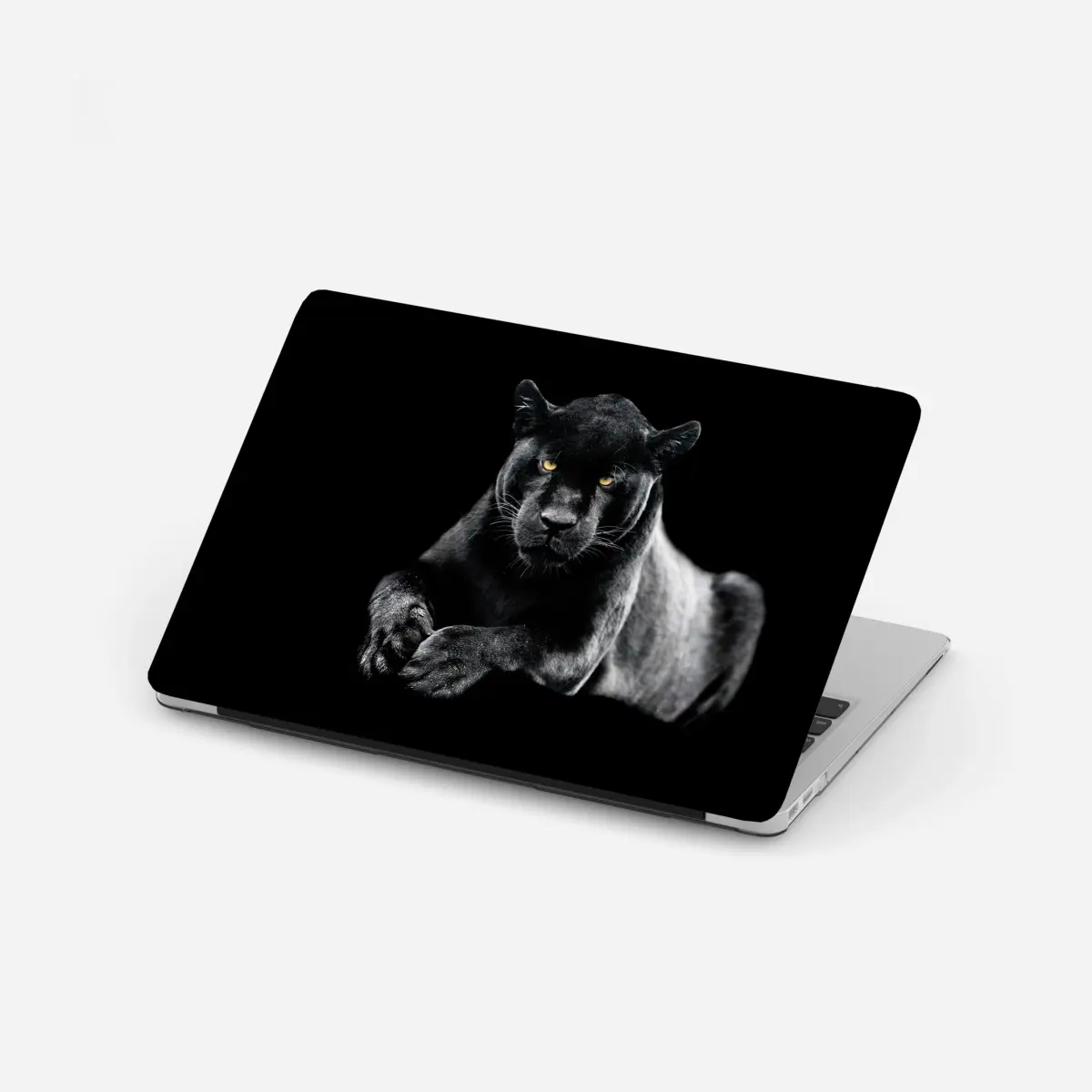 Laptop-Aufkleber porträt eines schwarzen panthers vor schwarzem hintergrund – Pixers®