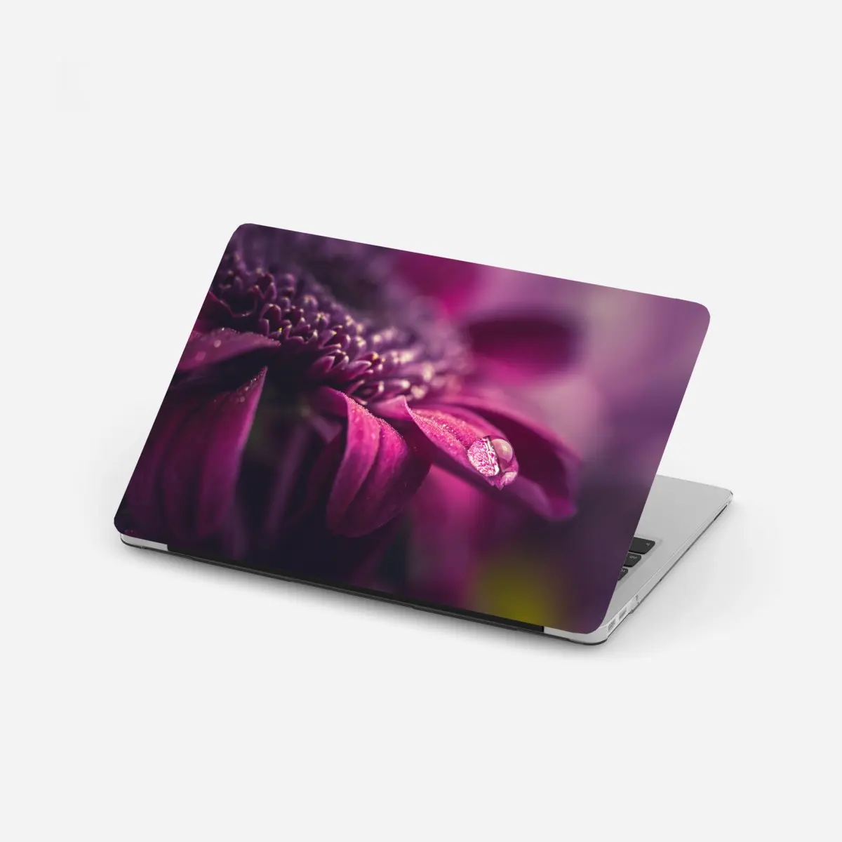Laptop-Aufkleber lila makroblüte mit tautropfen – Pixers®