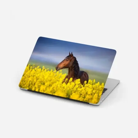 Laptop-Aufkleber braunes pferd im gelben rapsfeld – Pixers®