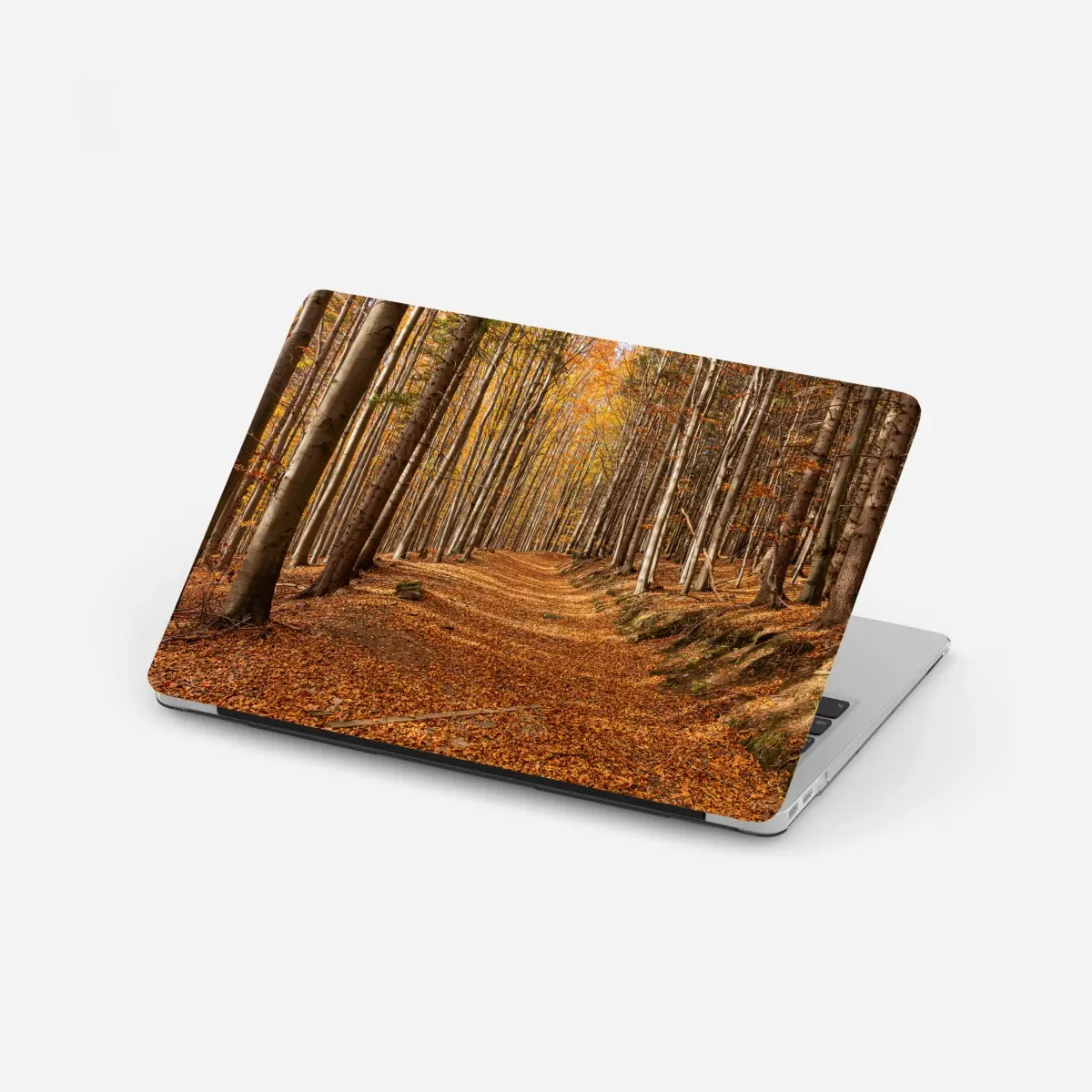 Laptop-Aufkleber herbstlicher waldweg mit goldenen blättern – Pixers®