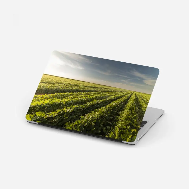 Laptop-Aufkleber sonnenbeschienenes sojafeld bei sonnenuntergang