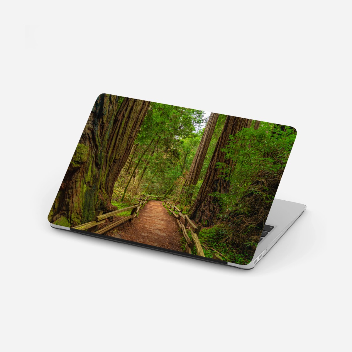 Laptop-Aufkleber majestätischer waldpfad zwischen mammutbäumen – Pixers®