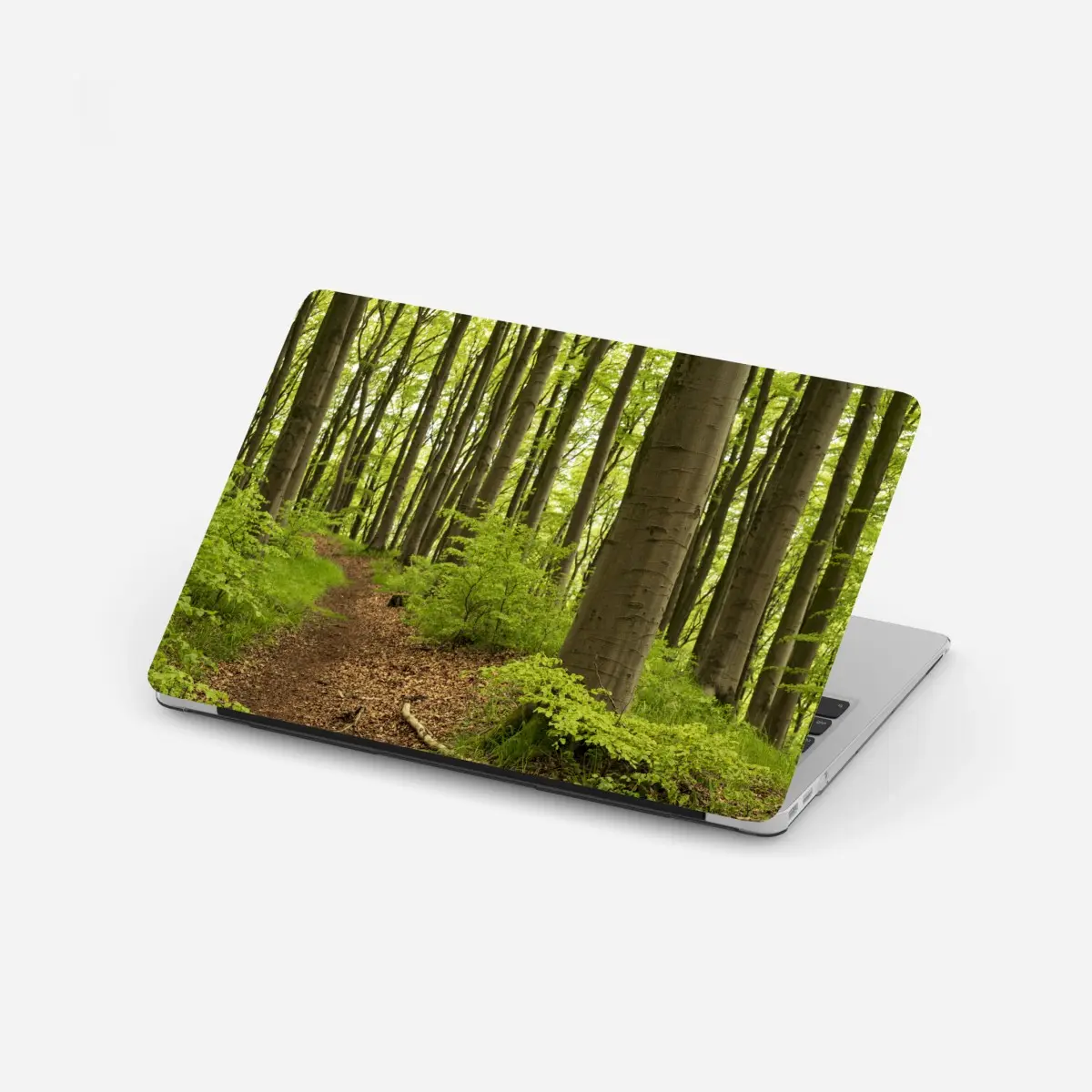 Laptop-Aufkleber ruhiger grüner waldweg – Pixers®