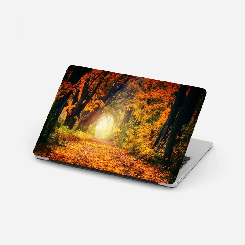 Laptop-Aufkleber herbstlicher waldpfad im goldenen licht
