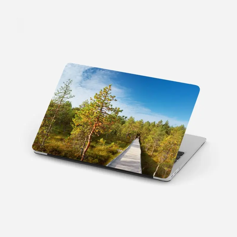 Laptop-Aufkleber sonniger steg durch den kiefernwald