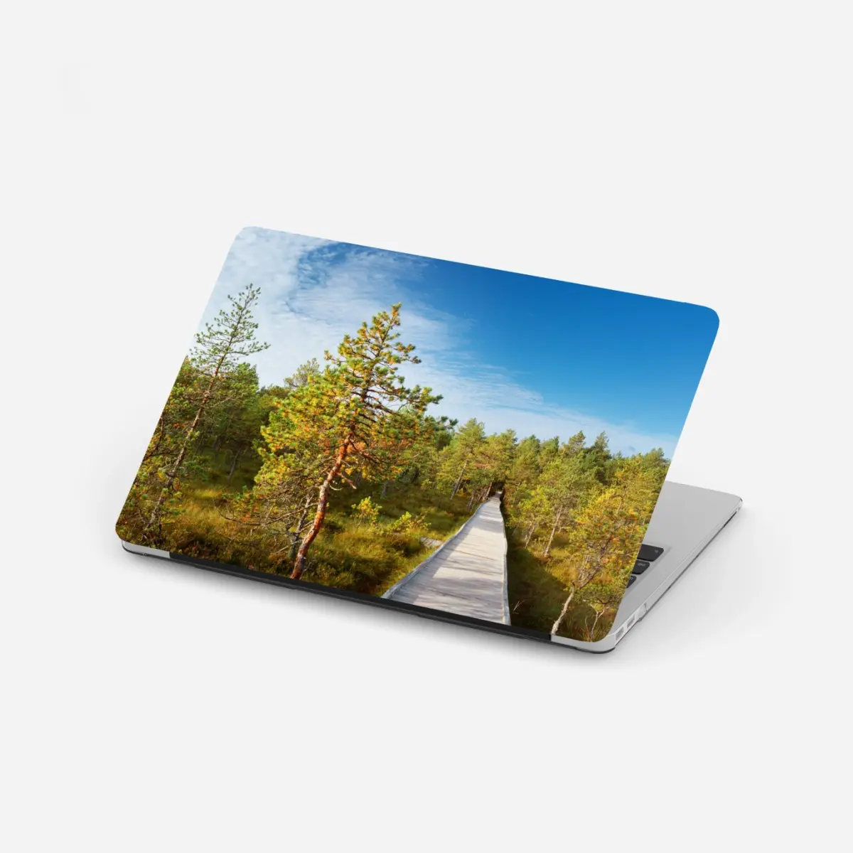 Laptop-Aufkleber sonniger steg durch den kiefernwald – Pixers®