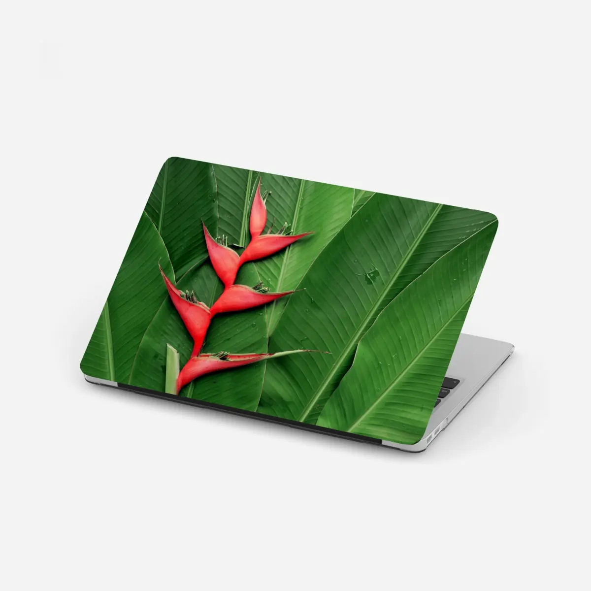 Laptop-Aufkleber leuchtende heliconia auf tropischen blättern – Pixers®
