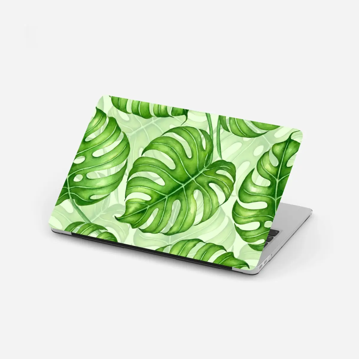 Laptop-Aufkleber aquarell monstera blättermuster – Pixers®
