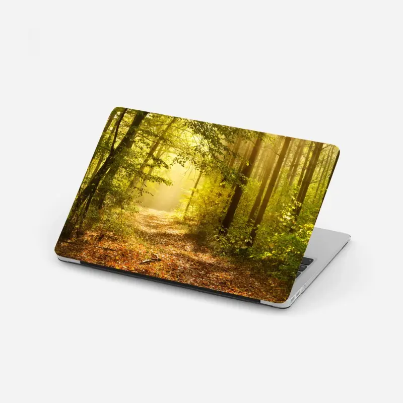 Laptop-Aufkleber sonnenbeschienener waldweg im herbst