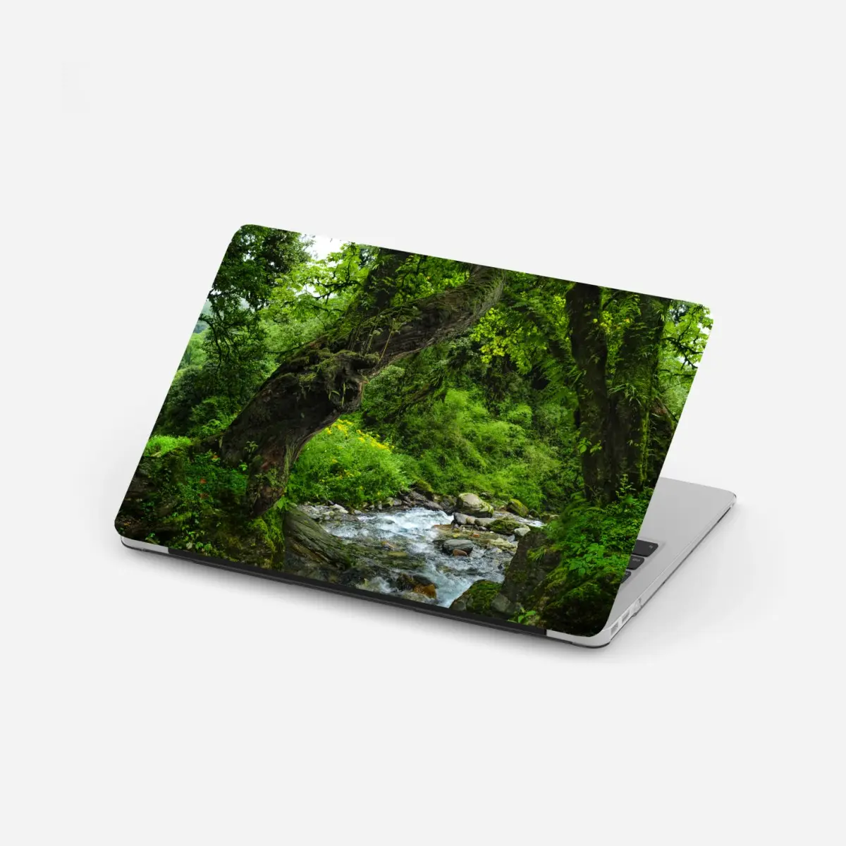 Laptop-Aufkleber moosiger waldbach panorama – Pixers®