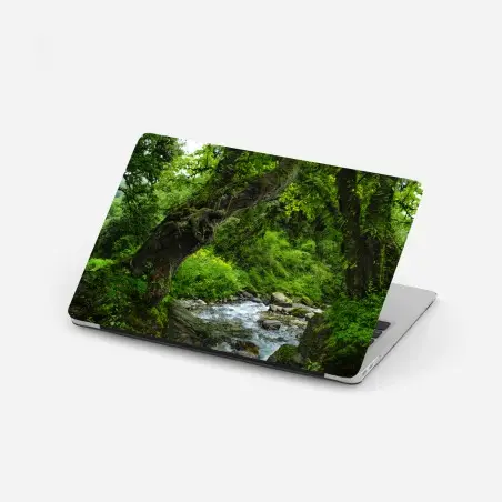 Laptop-Aufkleber moosiger waldbach panorama – Pixers®