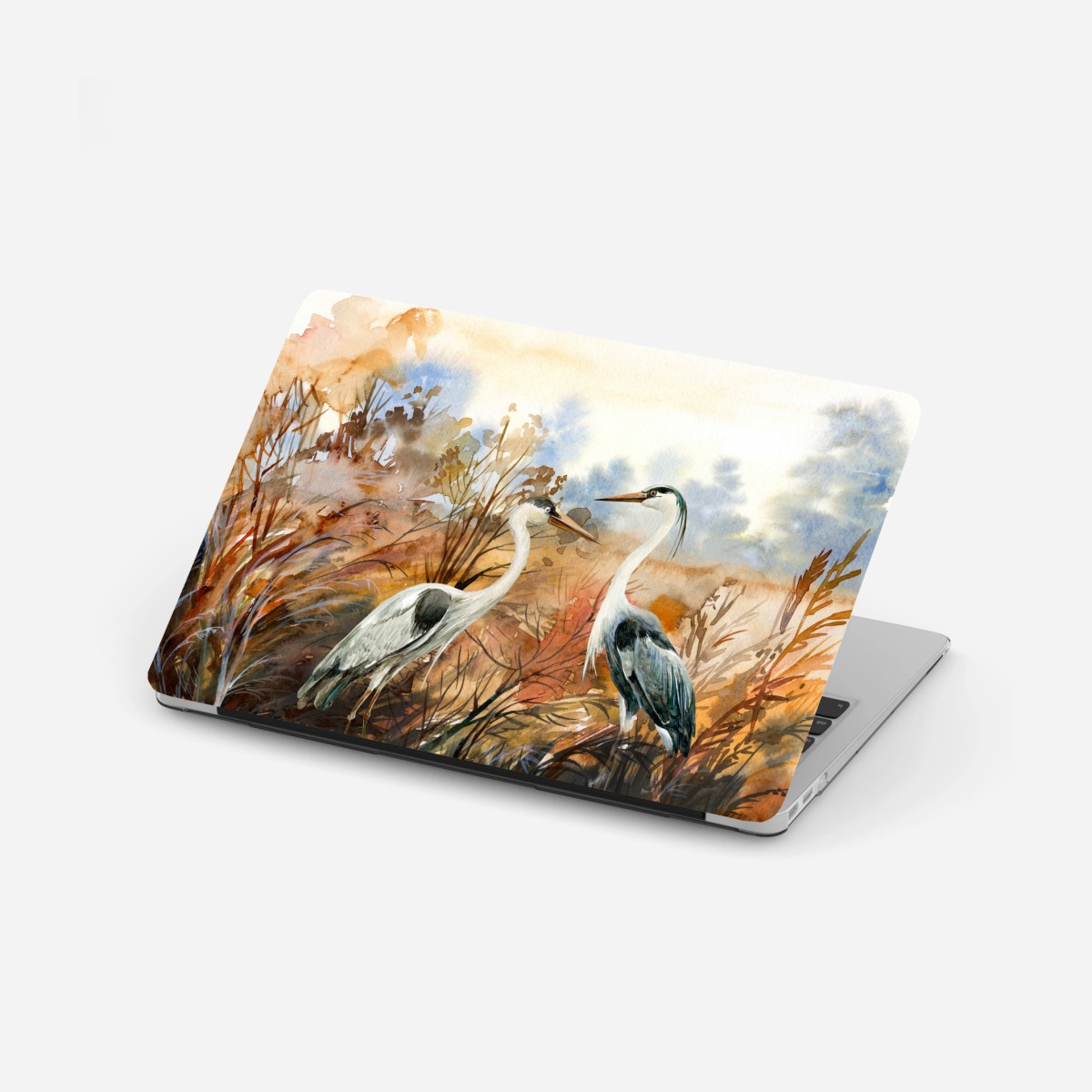 Laptop-Aufkleber zwei reiher im herbstlichen sumpf – Pixers®