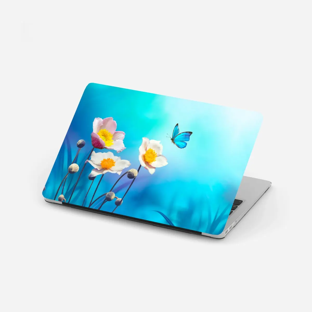 Laptop-Aufkleber zarte rosa anemonen und blauer schmetterling – Pixers®