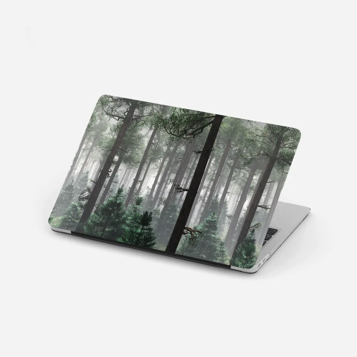 Laptop-Aufkleber nebliger immergrüner wald – Pixers®