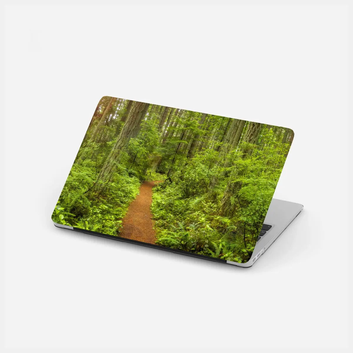 Laptop-Aufkleber friedlicher waldpfad – Pixers®