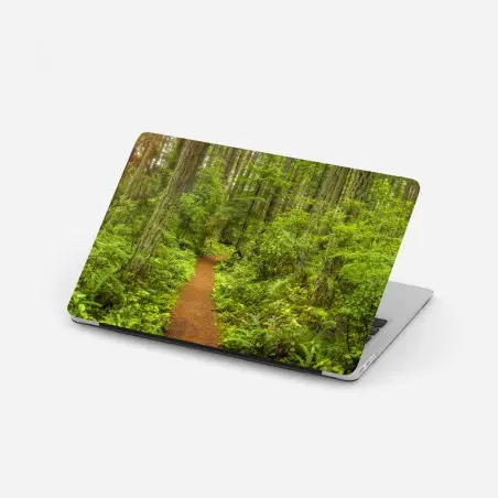Laptop-Aufkleber friedlicher waldpfad – Pixers®