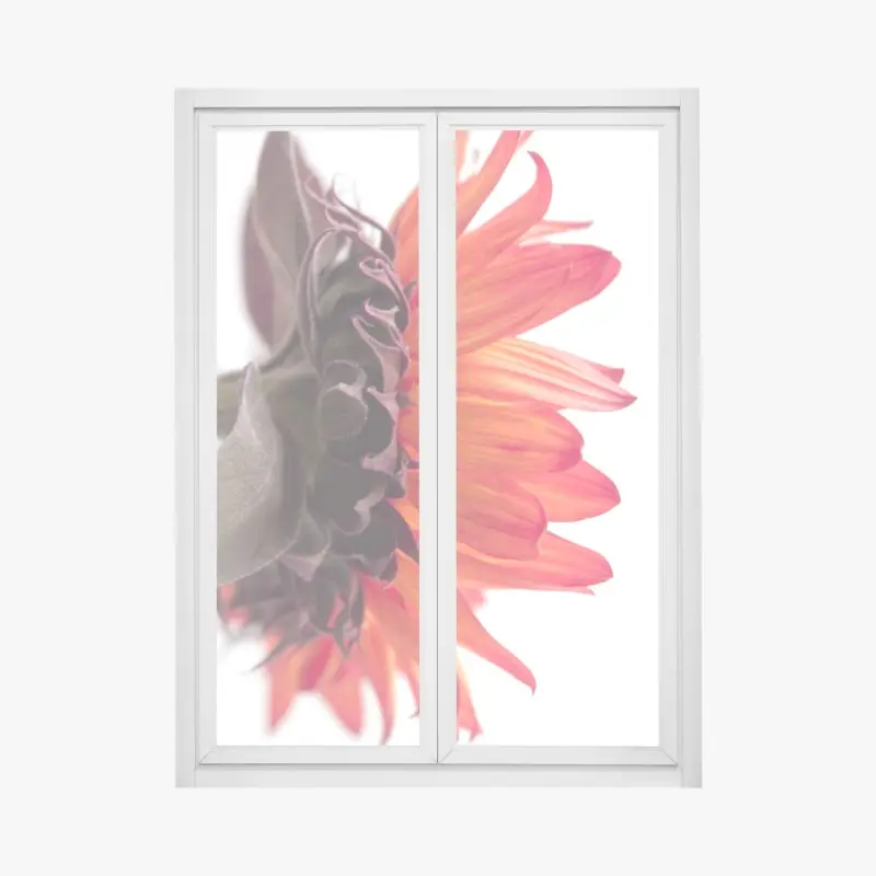 Fensteraufkleber intensive orange sonnenblume nahaufnahme