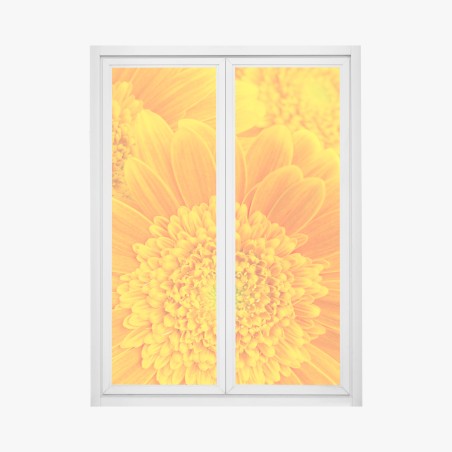 Fensteraufkleber intensive orange gerbera nahaufnahme – Pixers®