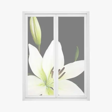 Fensteraufkleber weiße lilie vor schwarzem hintergrund – Pixers®