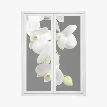 Fensteraufkleber weißer orchideenzweig vor schwarzem hintergrund – Pixers®