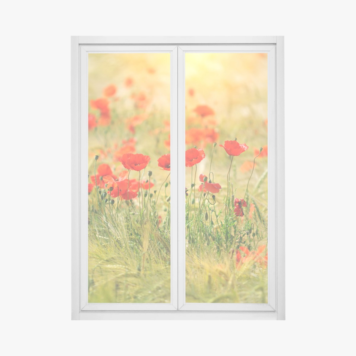 Fensteraufkleber rote mohnwiese im sonnenlicht – Pixers®