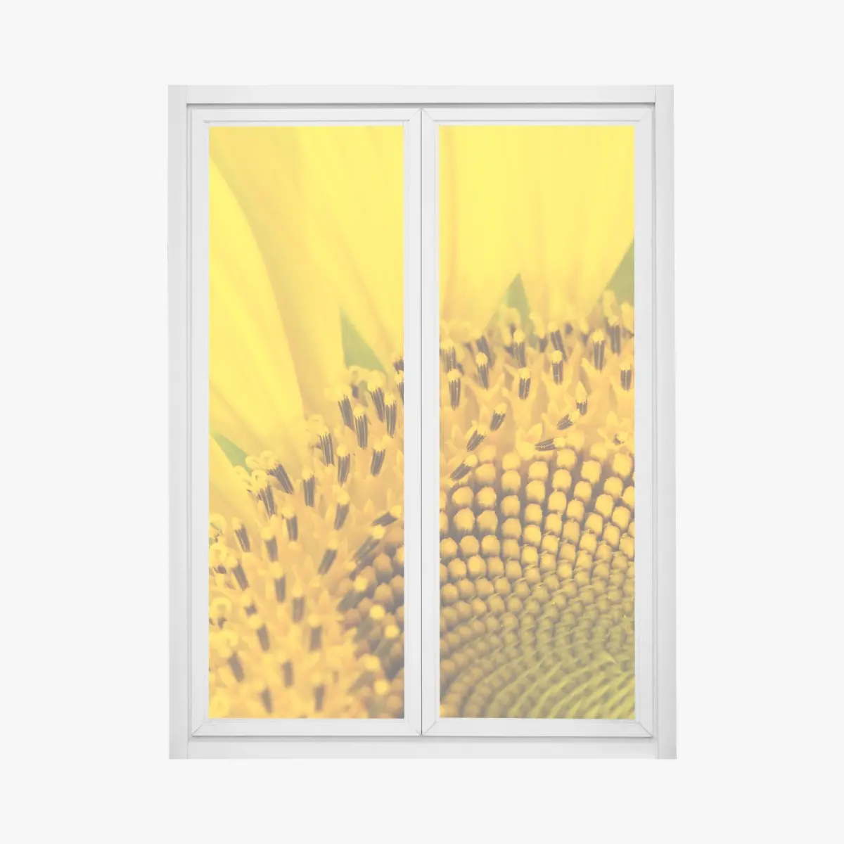 Fensteraufkleber goldene sonnenblume nahaufnahme – Pixers®