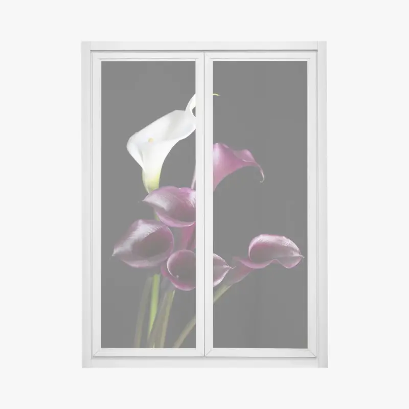 Fensteraufkleber elegante violette und weiße callas