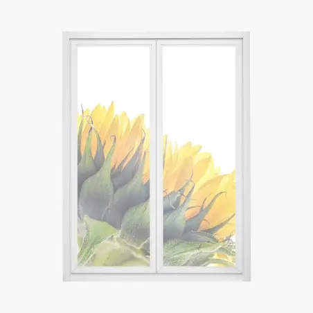 Fensteraufkleber sonnenblume in der ecke auf weißem hintergrund – Pixers®