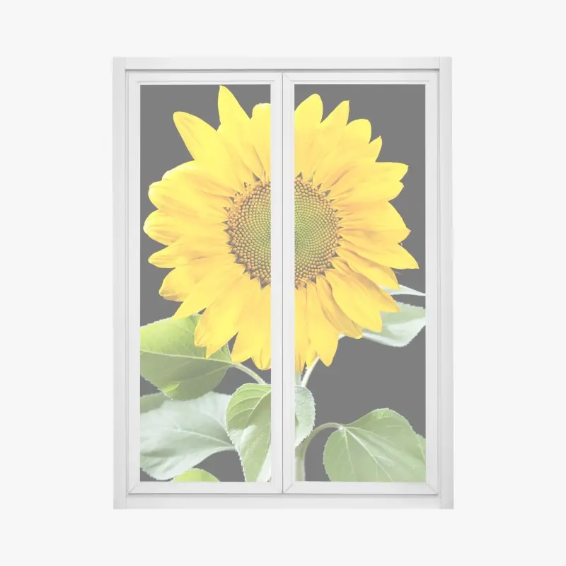 Fensteraufkleber leuchtende sonnenblume vor schwarzem hintergrund