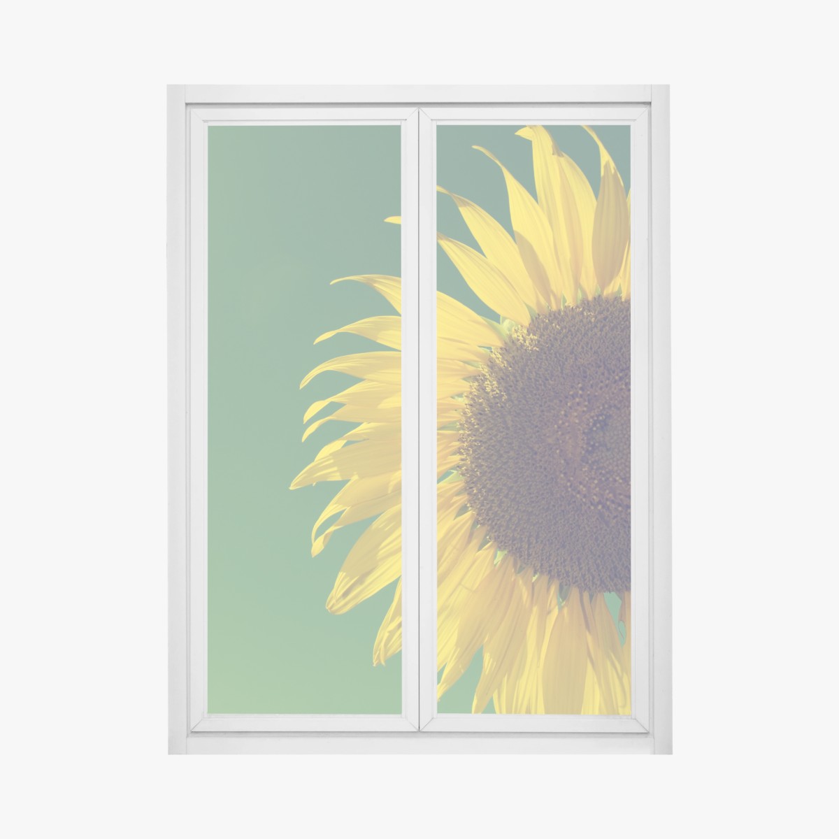 Fensteraufkleber strahlende sonnenblume vor vintage-himmel – Pixers®