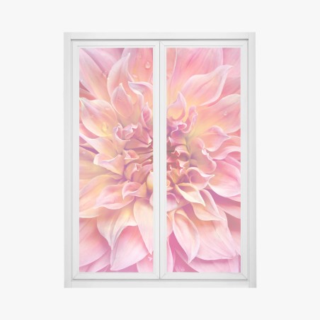 Fensteraufkleber rosa dahlie nahaufnahme – Pixers®