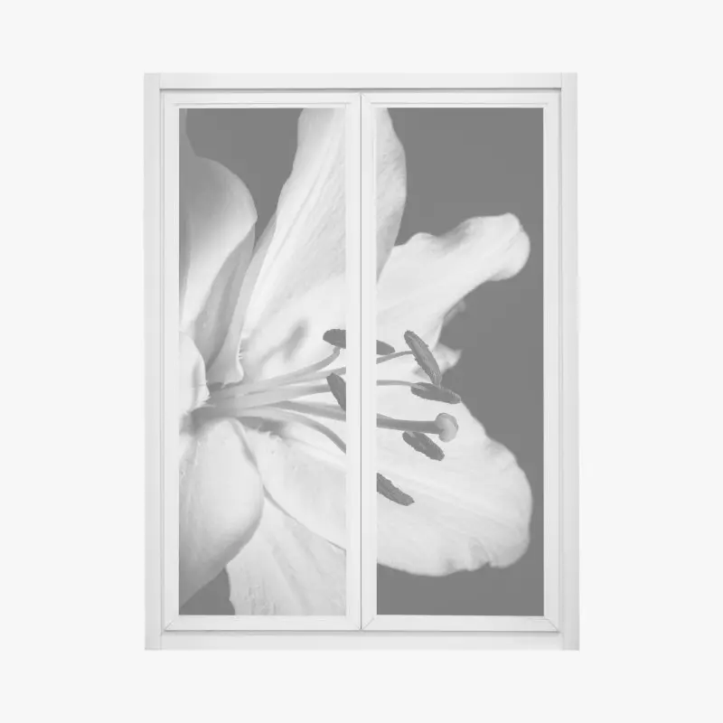 Fensteraufkleber monochrome lilie nahaufnahme