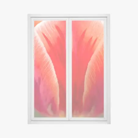 Fensteraufkleber leuchtende rote tulpen nahaufnahme – Pixers®