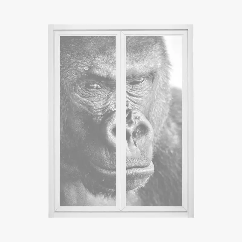 Fensteraufkleber intensives gorilla-porträt in schwarzweiß